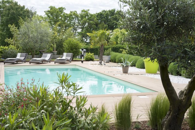 société de production sud de la france