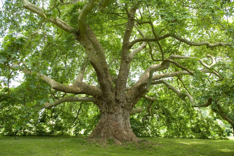 décor atypique pour shooting paris
