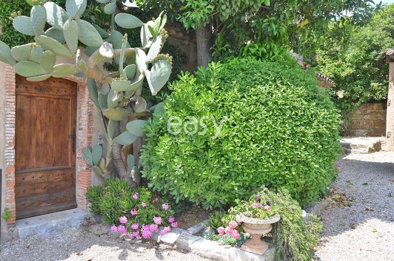 cadre bucolique pour shooting et tournage Cannes