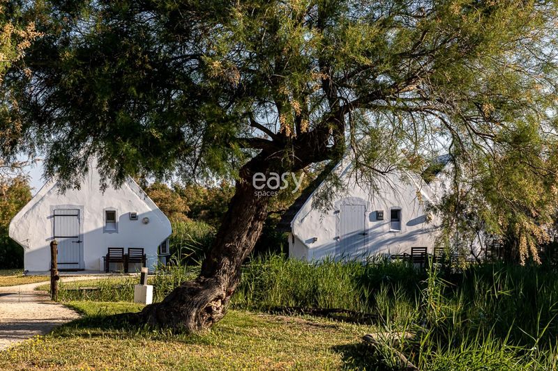 décor naturel en camargue bouches du rhône