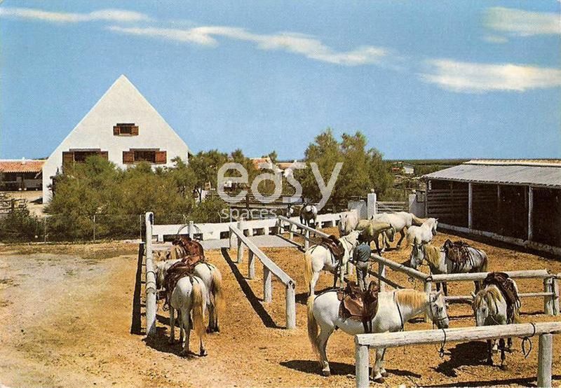 lieu de shooting camargue