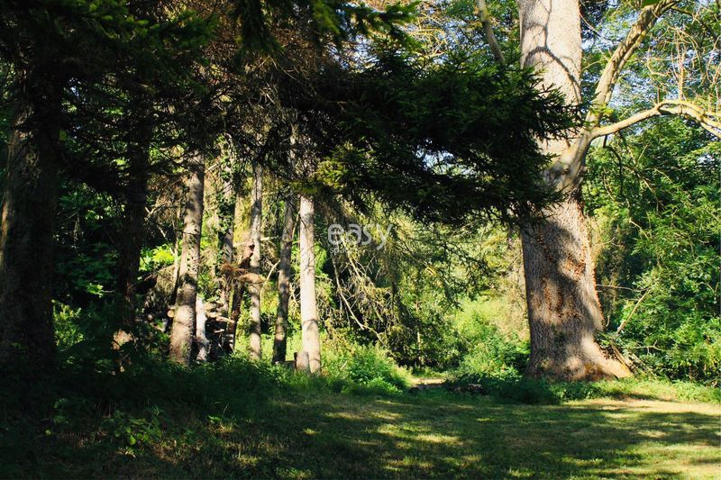 Jardin Pour Shooting et Tournage près de Paris, Décor Naturel