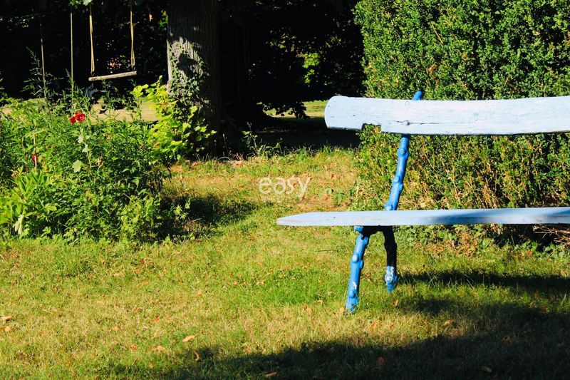 cadre bucolique pour shooting à paris