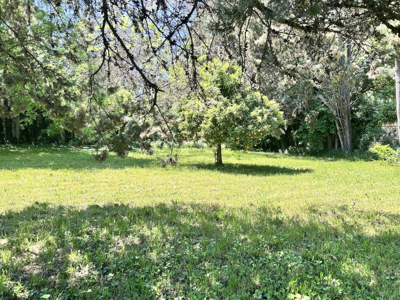 décor naturel pour shooting photo