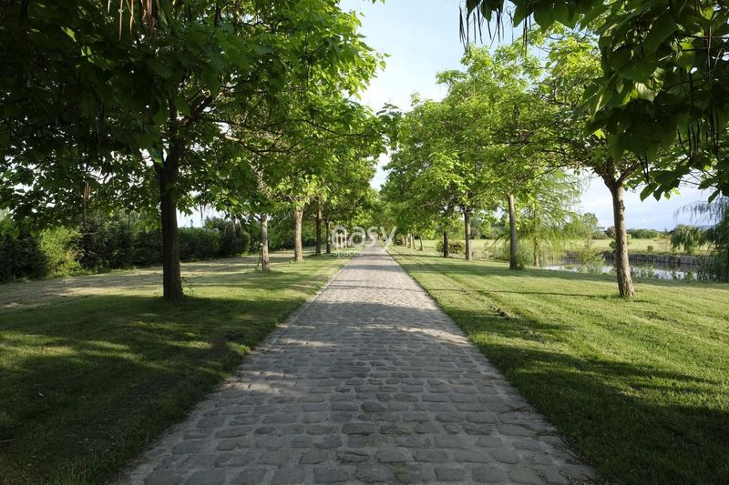 lieu pour lancement véhicule paris