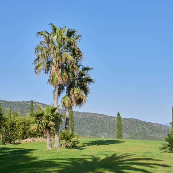 lieu événementiel atypique cote d'azur