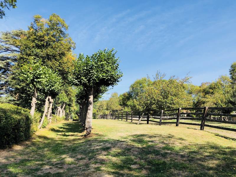lieu avec chevaux shooting paris
