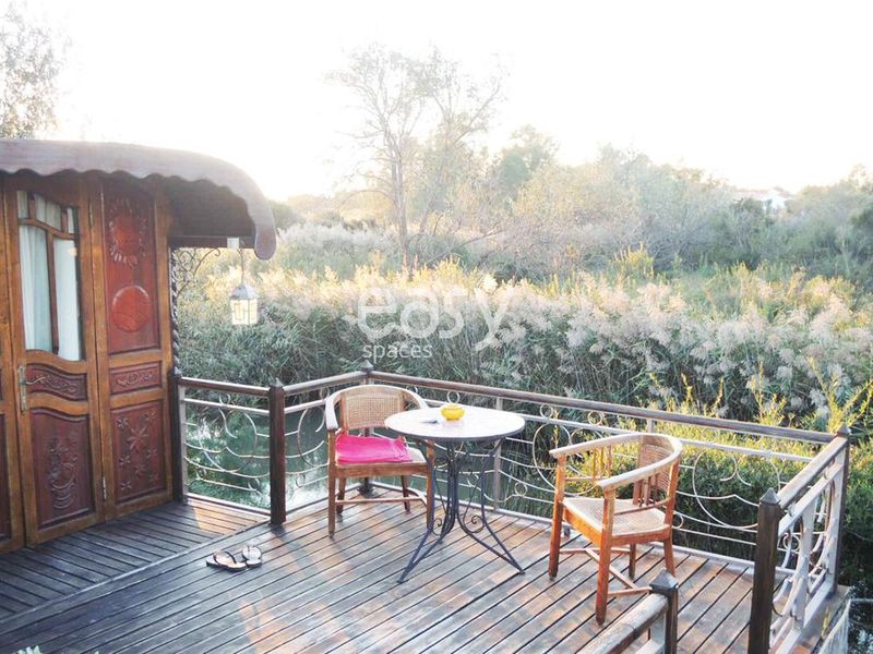 organiser un shooting pour du mobilier de jardin en camargue