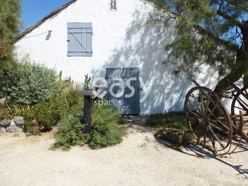 décor de film camargue