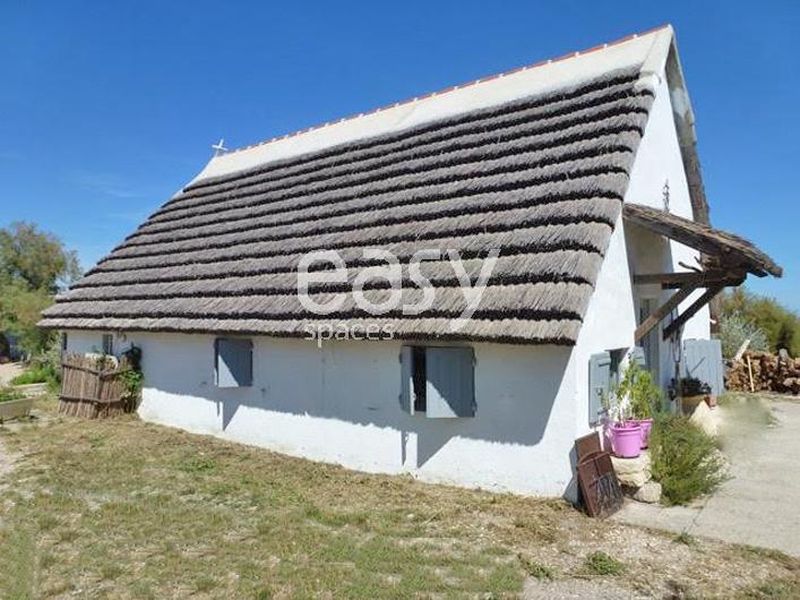 décor en pleine nature pour prise de vue