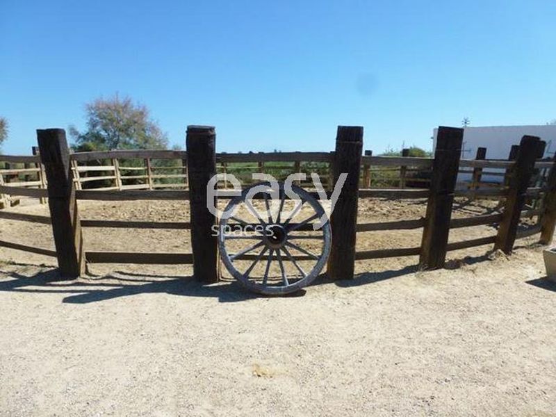 mas camarguais pour shooting