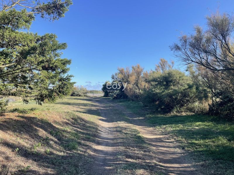 lieu de tournage en pleine nature