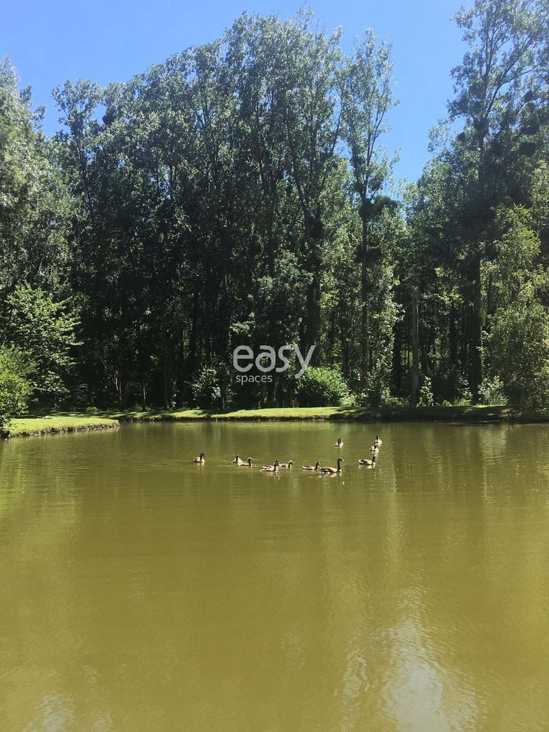 agence de décor pour shooting paris