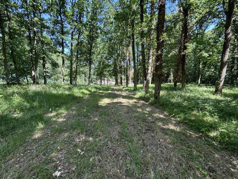 maison avec grand jardin pour shooting paris