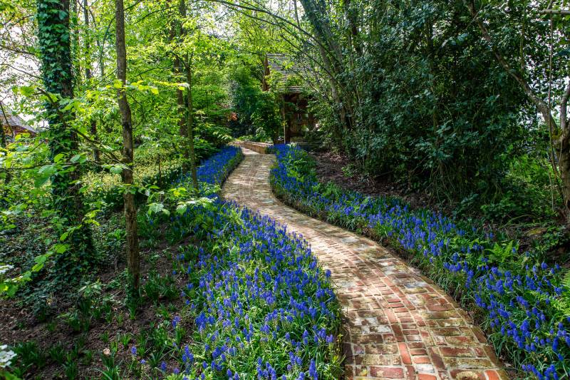 lieu de shooting cadre bucolique