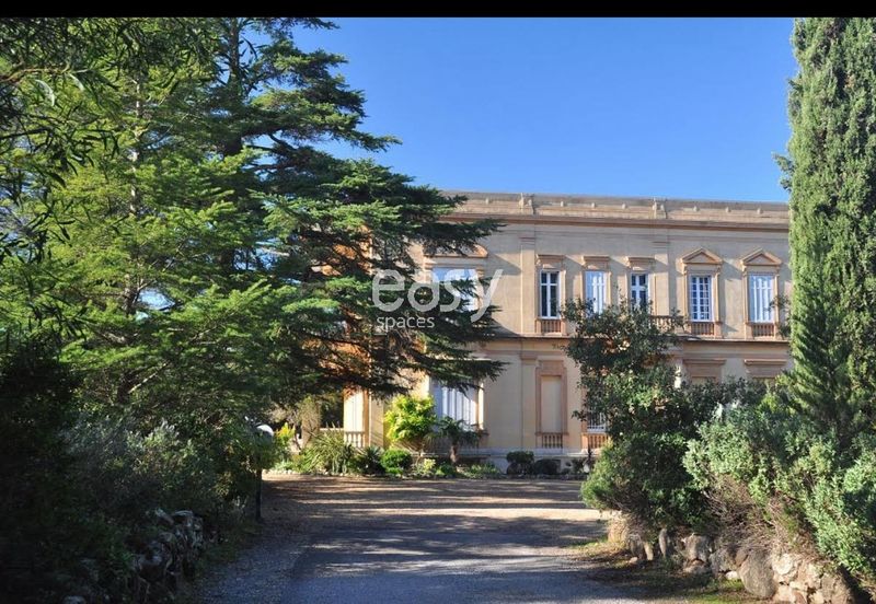 décor de cinéma cannes