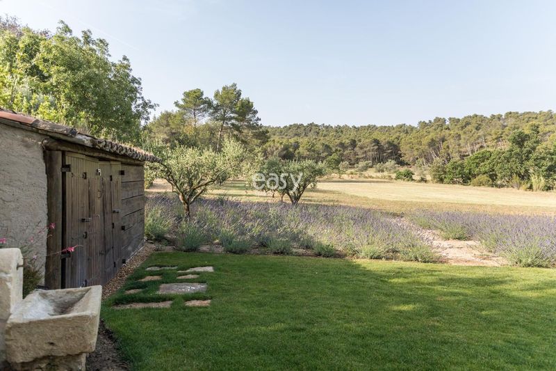 champs de lavance shooting photo