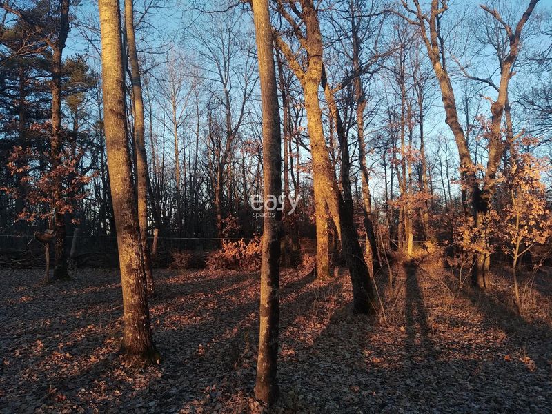 trouver un lieu désertique pour shooting photo/vidéo dans le sud