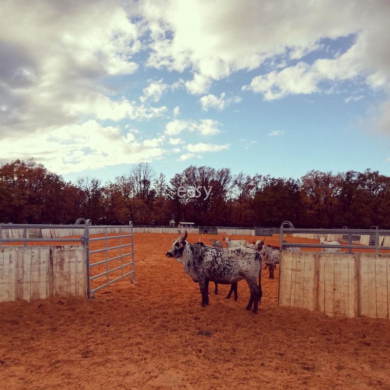 ranch a louer pour shooting photo et film Avignon Gard