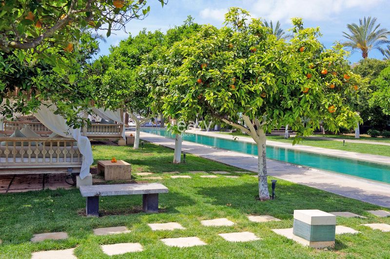 décor événementiel ibiza