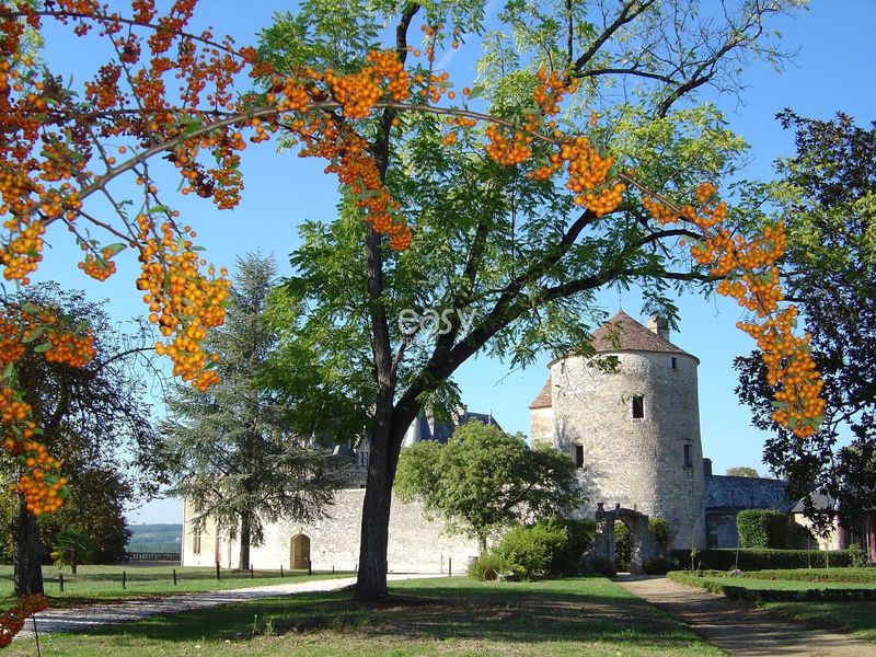 décor de film bordeaux 33