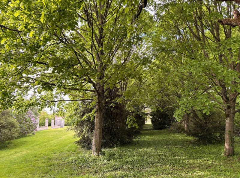 décor en pleine nature pour shooting paris
