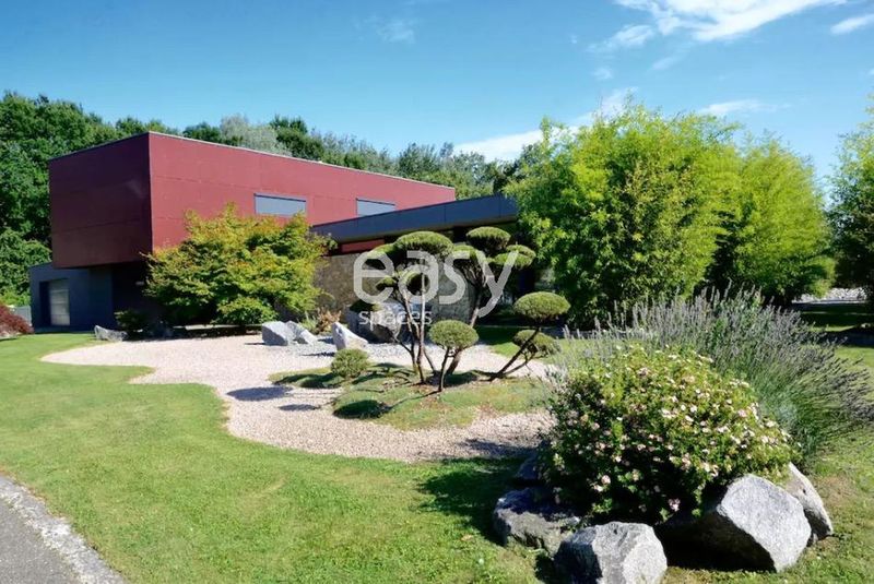 décor pour prises de vues Strasbourg