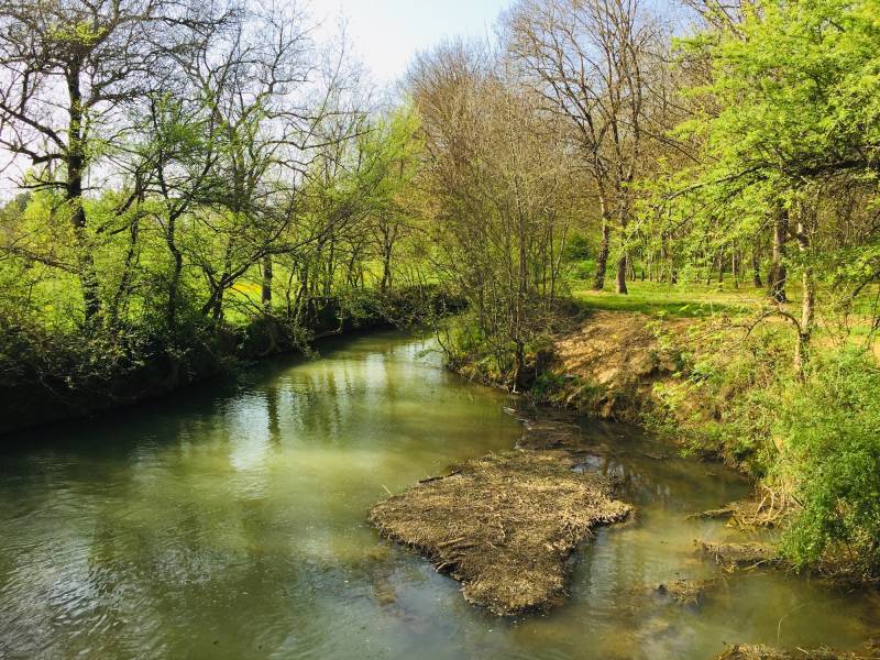 lieu événementiel en pleine nature