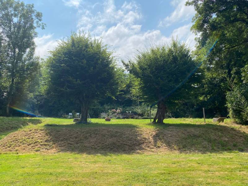 décor verdoyant pour shooting photo