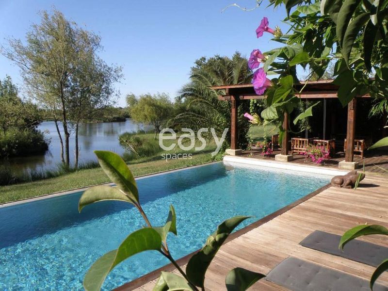 faire un photoshoot en Camargue dans le sud de la France