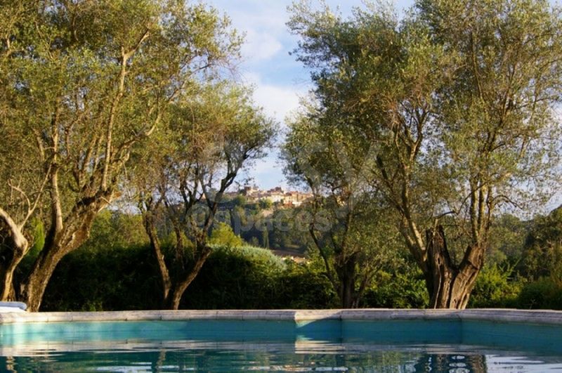Location jardin avec piscine pour shootings photos Cannes Alpes Maritimes 06