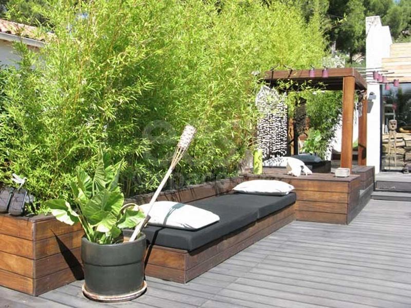terrasse en bois avec bambous maison d ' architecte piscine marseille