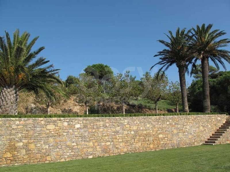 jardin de maison provençale avec mur en pierre et palmiers saint tropez