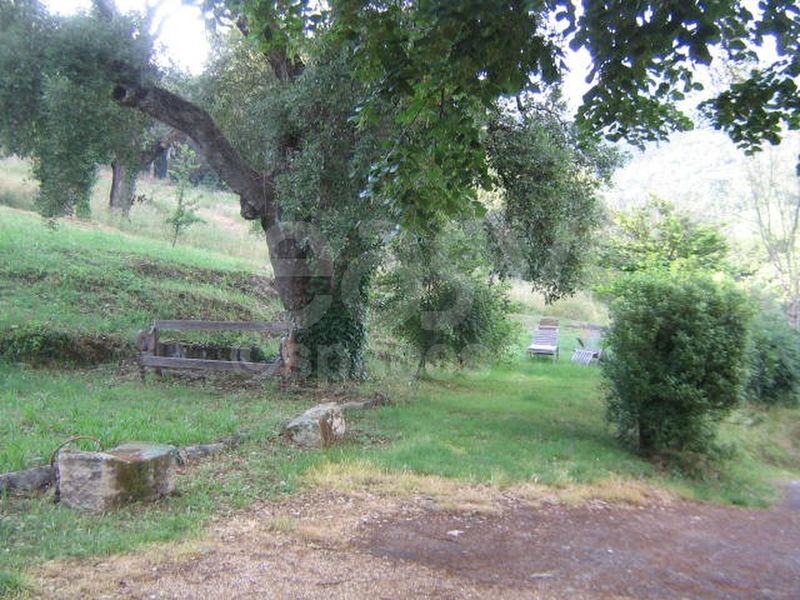 location de grand espace vert pour photos Saint Tropez