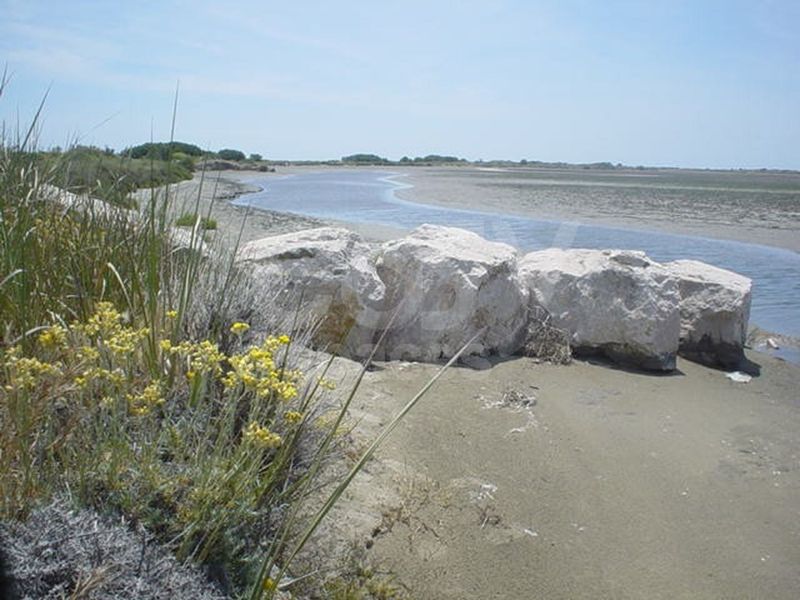 repérages pour le cinéma et la télévision camargue arles bouches du rhone