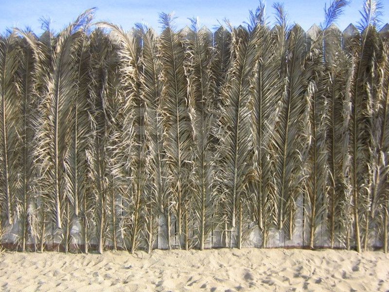 REPERAGES PHOTOS ET TOURNAGES PLAGES PRIVEES ENTRE TOULON ET SAINT-TROPEZ