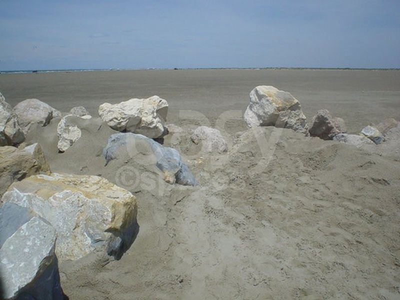 Repérages de lieux et décors pour les tournages de films, clips vidéo et prises de vues photos Camargue