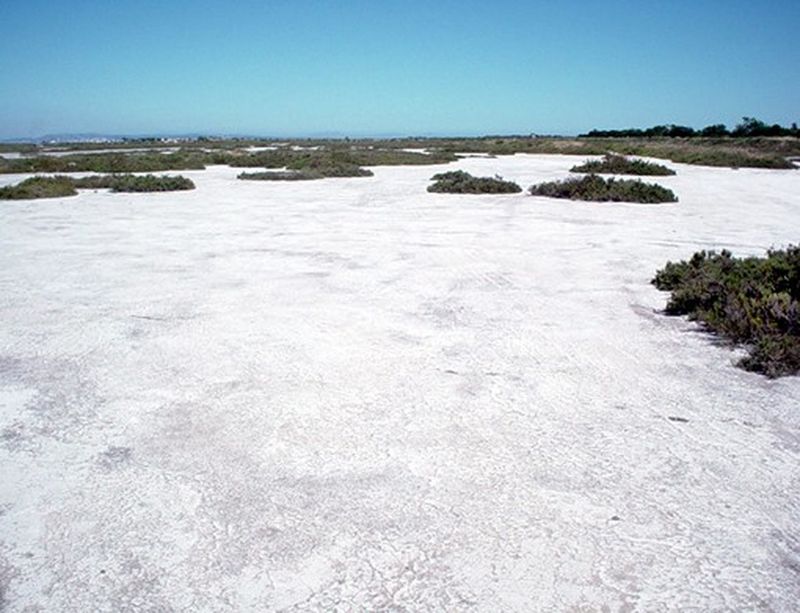 Location de décors naturels pour les prises de vues photos Marseille Camargue Saint Tropez Nice