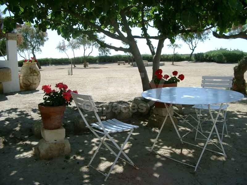 agence de reperages avec terrasse fleurie pour evenements d'entreprises camargue provence alpes cote d'azur