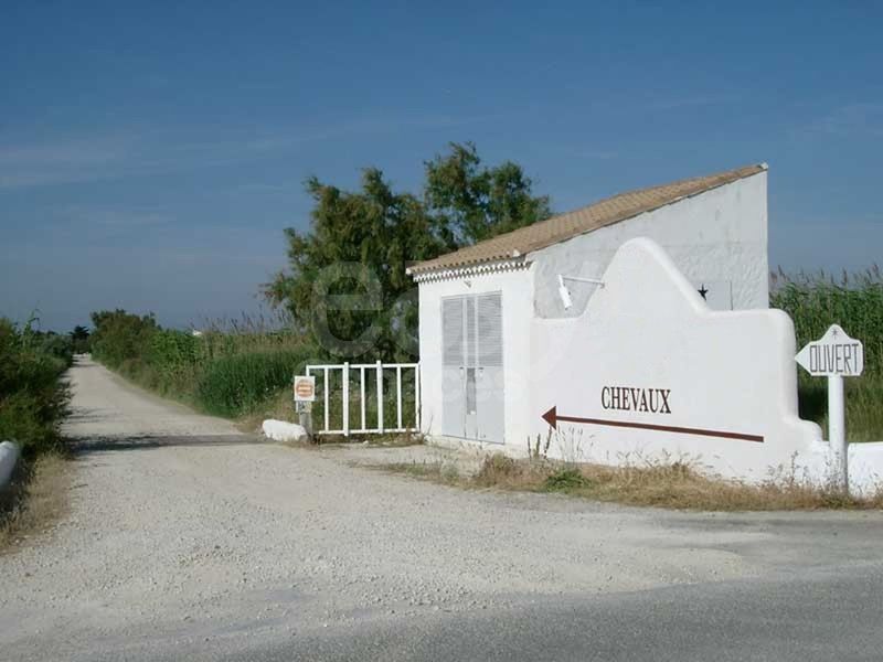 location de ranch au coeur de la camargue pour seminaire d'entreprises sud de la france
