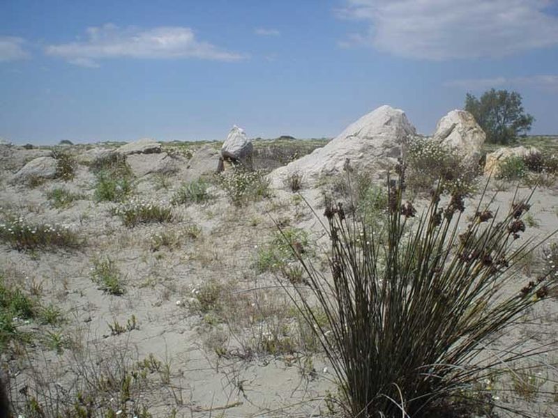 repérages de plages dans le sud de la france camargue arles marseille
