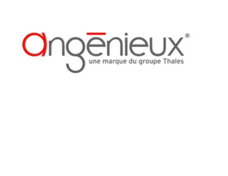 Angénieux - Partenaire Officiel du Festival de Cannes