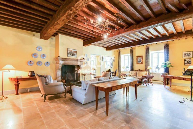 décor pour prises de vues camargue