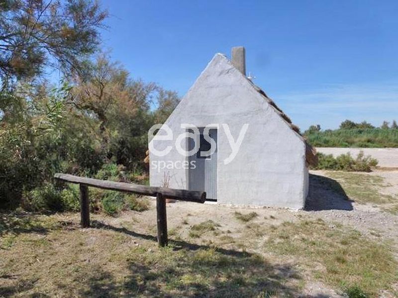 décor pour prises de vues en Camargue