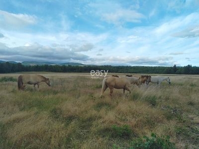 Nos prestations sur le secteur de vers Toulouse en Haute-Garonne